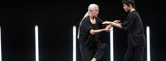 Timelessness Dances_Research  immagine decorativa