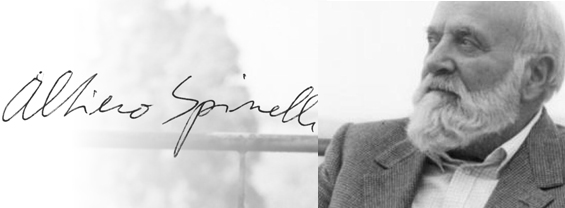 Seminari del Centro studi Altiero Spinelli immagine decorativa