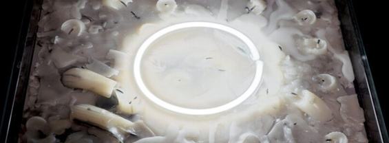 Laboratorio di Mistica - Seminario del Prof. Paolo Bettiolo  immagine decorativa