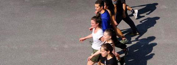 La schiera, respiro comune immagine decorativa