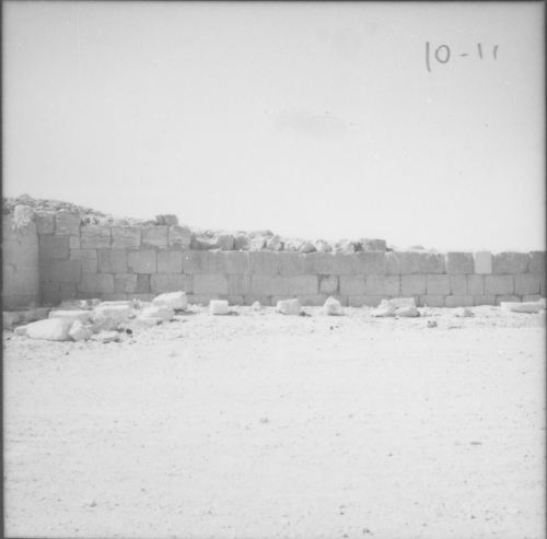 Palmira, mura Palmira, mura