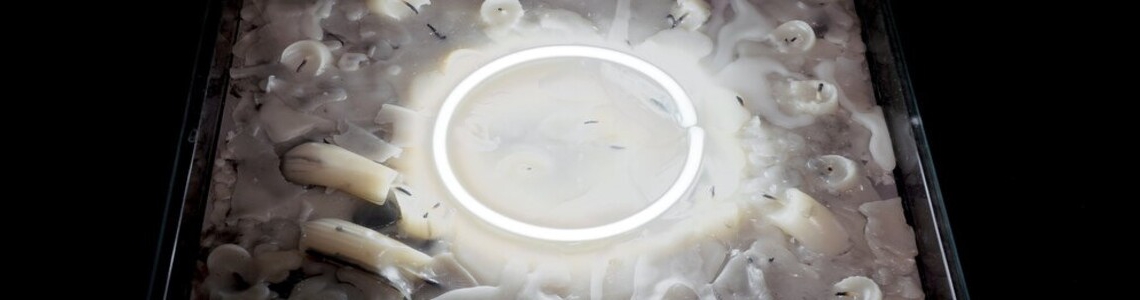 immagine di presentazione